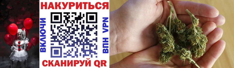 Псилоцибиновые грибы Нижний Ломов