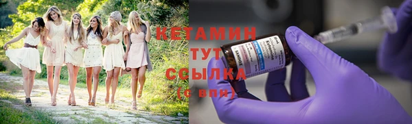 шишки Новокубанск