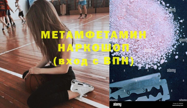 шишки Новокубанск