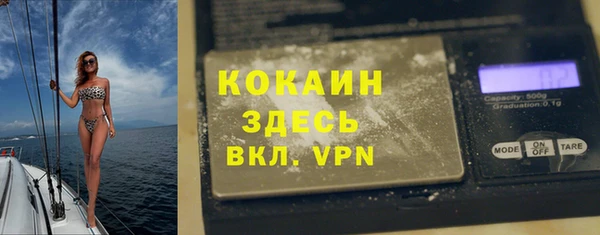 шишки Новокубанск