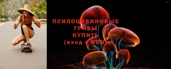 МДМА Новодвинск