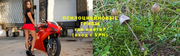 МДМА Новодвинск