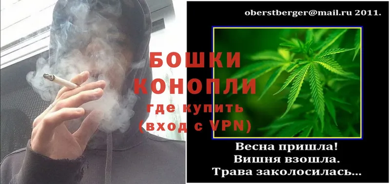 хочу   Нижний Ломов  omg как зайти  Конопля THC 21% 